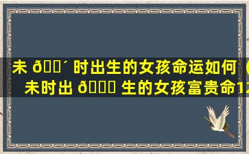 未 🌴 时出生的女孩命运如何（未时出 🐒 生的女孩富贵命12生肖哪个时辰好）